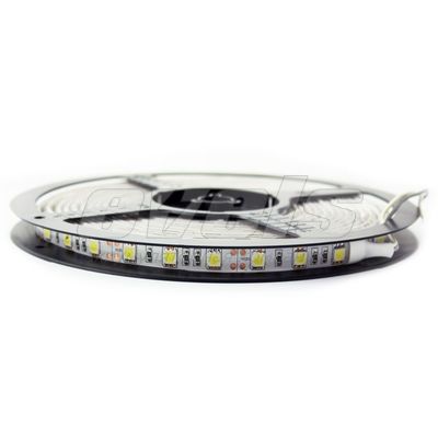 Лента светодиодная "Маяк" 12V (катушка 5м) (5,0x5,0 60smd - метр) WHITE 4000K IP65  белая основа — фото №2